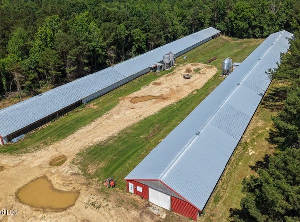 Smithtown Chicora Road, State Line, MS 39362