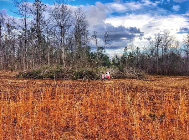 18 Seneca Trail, Fort Mitchell, AL 36856
