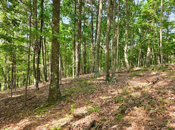 MOSQUITO Road, SIX MILE RUN, PA 16679