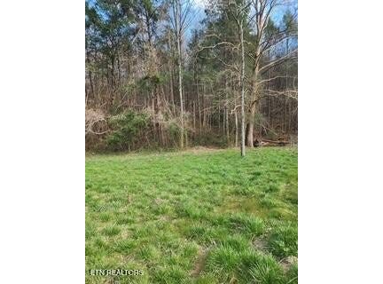 Little Elk Creek Rd, Pioneer, TN 37847