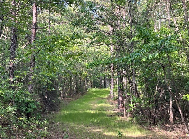 0 Caroline Reed Road, De Kalb, MS 39328