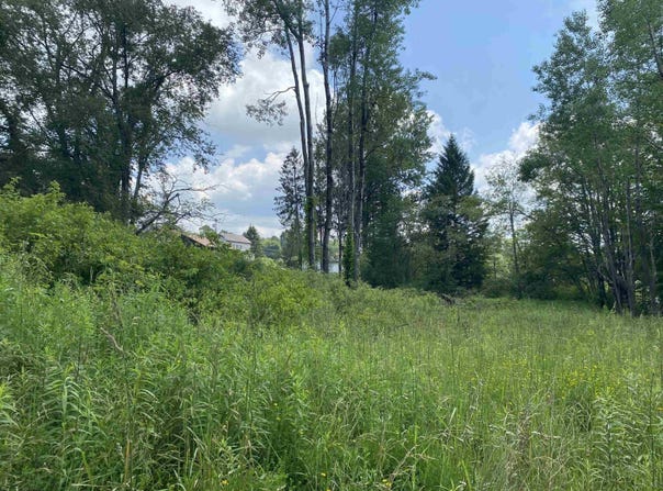 Spruce Street, Thomas, WV 26292