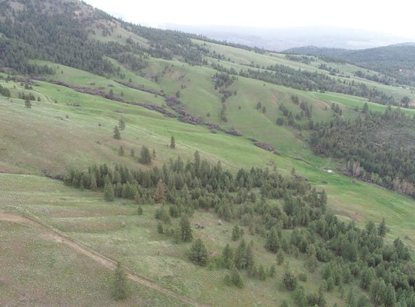 Egypt Loop Rd. E, Davenport, WA 99122