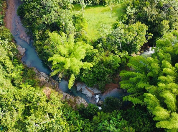 Angeles, Utuado, PR 00641