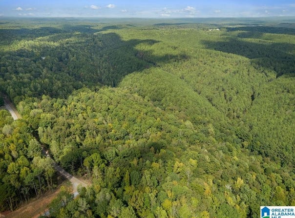 307 MULBERRY AVENUE lot: 21, CORDOVA, AL 35550