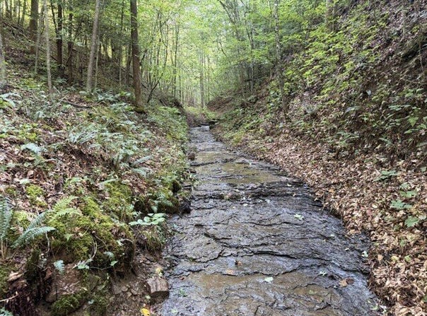 Glory Branch Rd, Vancleve, KY 41385