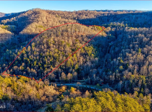 E Pumpkin Valley Road, Eidson, TN 37731