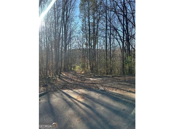 Collier Street SW, Covington, GA 30014