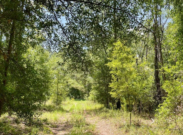 10AC 198TH TER, OBrien, FL 32071