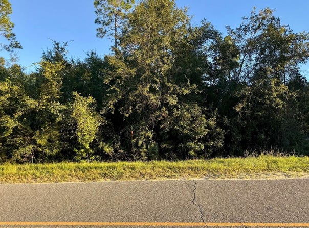 SW CR 49 lot: 4, Jasper, FL 32052