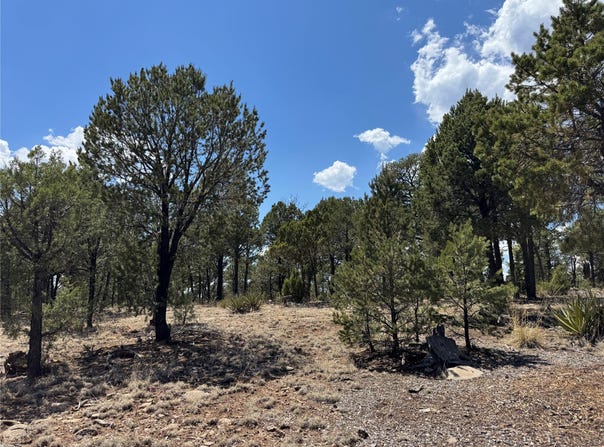7 Dancing Hawk Drive, Pecos, NM 87552