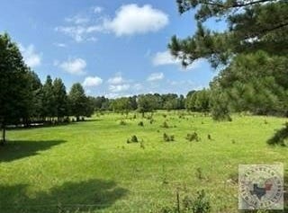 9131 Hwy 67, Simms, TX 75574