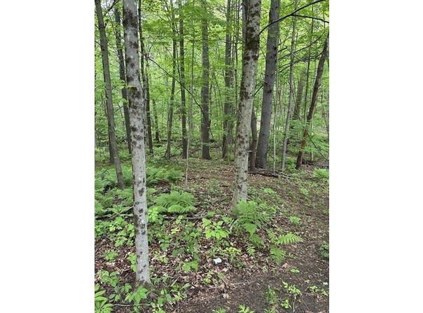 S Royalston Rd, Royalston, MA 01368