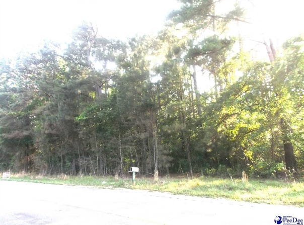 Friendfield RD, Pamplico, SC 29583