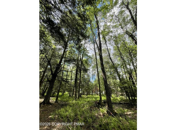 Pine Rd 67, Pocono Pines, PA 18350