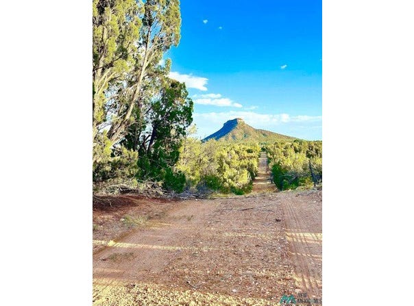 W SENA RANCH Rd, Serafina, NM 87569