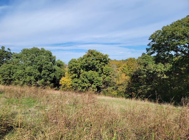 Eagle Crest Drive, Hollister, MO 65672