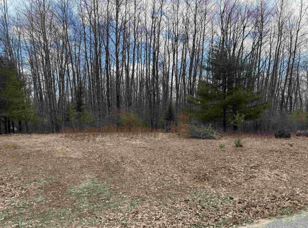 60 Sandbridge Court, Gladwin, MI 48624