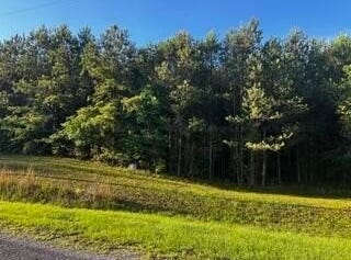 SIPSEY OVERLOOK Dr lot: #139, Double Springs, AL 35553