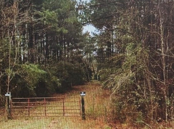 Hwy 1545, LOUIN, MS 39756