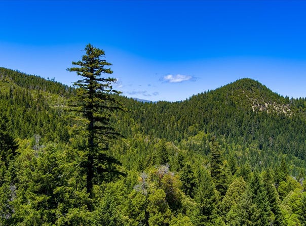 000 Forest Rte 4N20, Hyampom, CA 96046