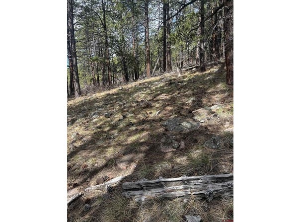 101 Pine Crest Drive, Bayfield, CO 81122