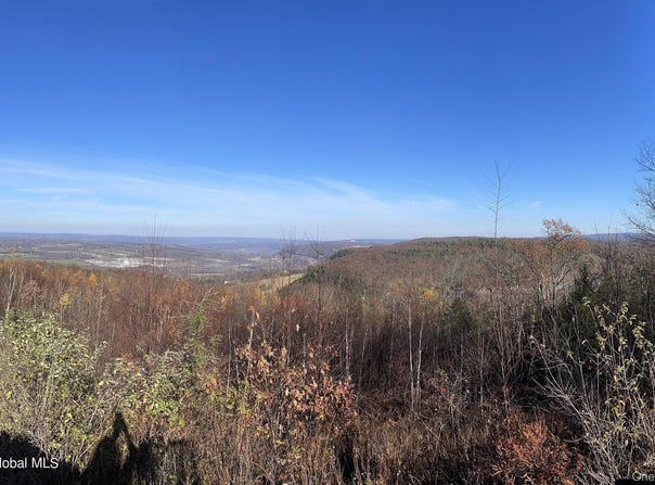 L26 & L27 Ecker Hollow Road, Cobleskill, NY 12043