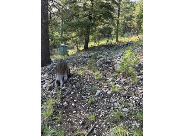 Rim, Cloudcroft, NM 88317-9800