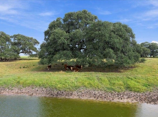 2561 Roitsch Rd, Schulenburg, TX 78956