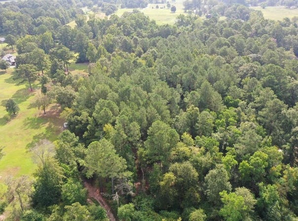 Reedy Creek Rd., LAUREL, MS 39443