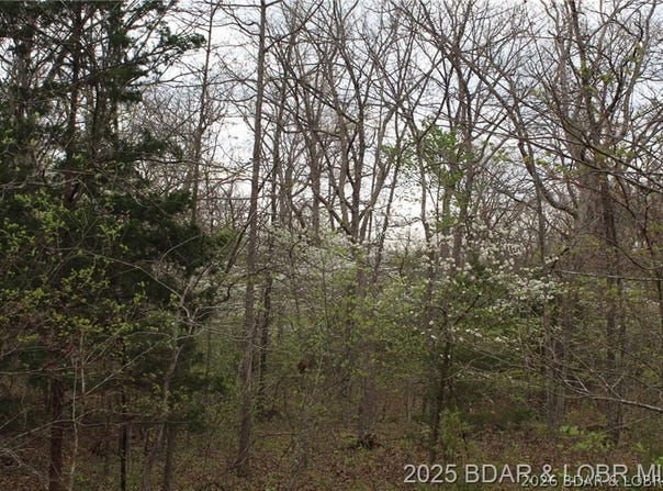 15516 Highway P, Gravois Mills, MO 65037