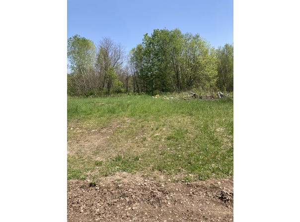 Davidson Road, Dickinson Center, NY 12930