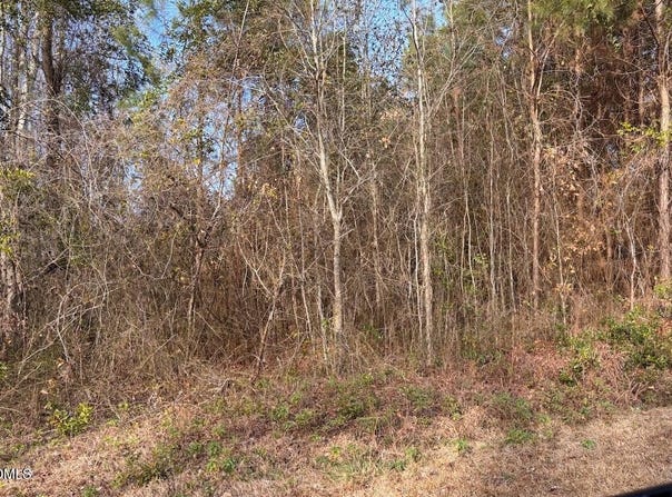Watson Grave Yard Road, Clarkton, NC 28433