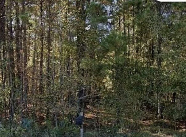 3075 Hamlin Road, Lizella, GA 31052