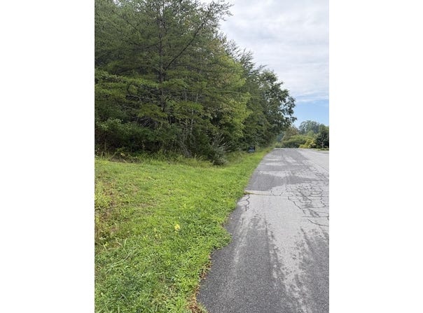 Teresa Ln, Cloverdale, VA 24077