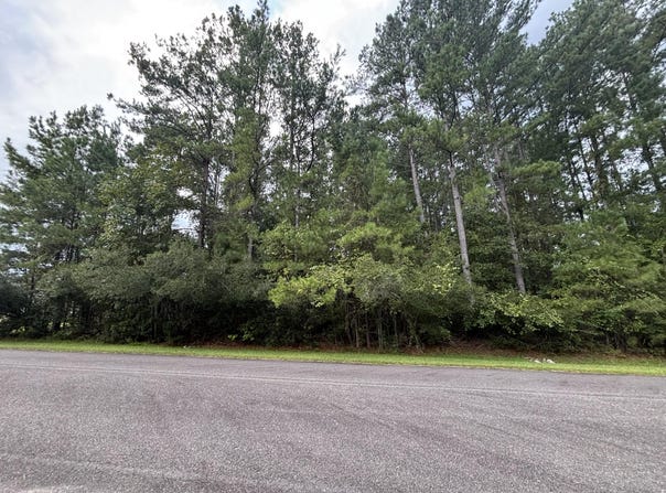 1128 Plantation Overlook, Moncks Corner, SC 29461