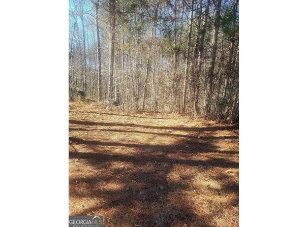 1385 Pebble Ridge Drive, Hampton, GA 30228