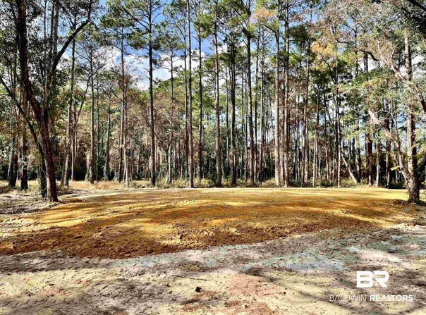 Bay Road, Foley, AL 36535