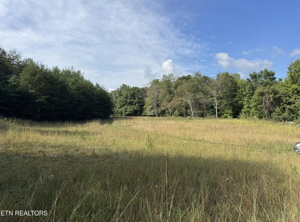 Davis Rd, Deer Lodge, TN 37726