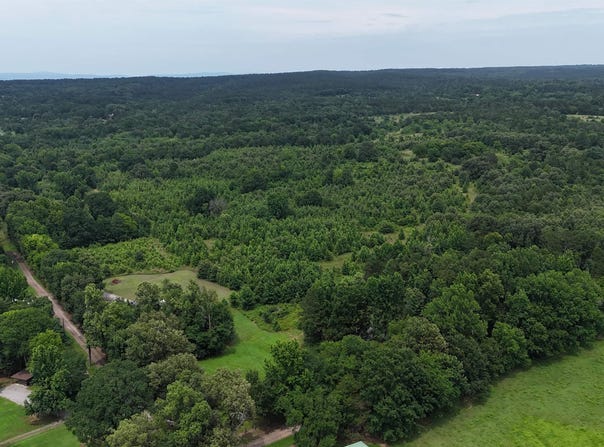 New Blaine, AR 72851