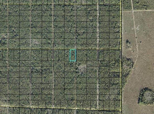 DONNA Street, HASTINGS, FL 32145