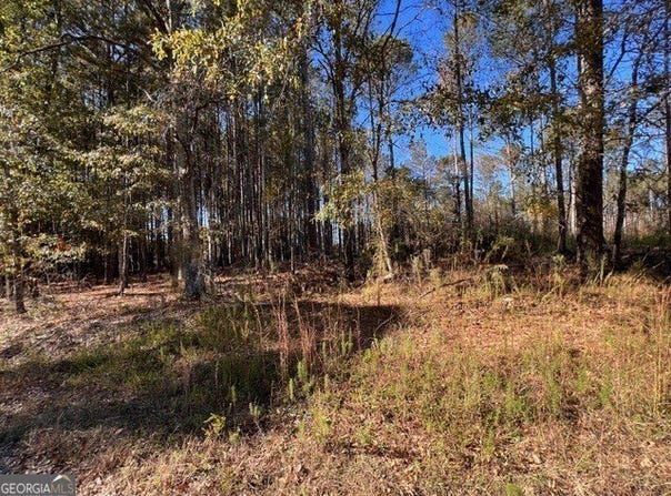 Etchison Spur, Loganville, GA 30052