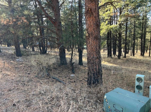 Jackson Hole lot: 14, Angel Fire, NM 87710-0000
