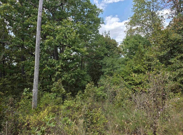 L4H Old CC Road, Hardy, AR 72542