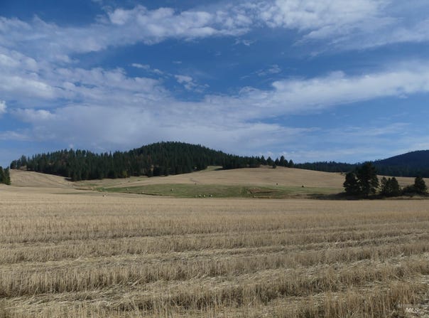 77 Freeman Creek Rd, Kendrick, ID 83537