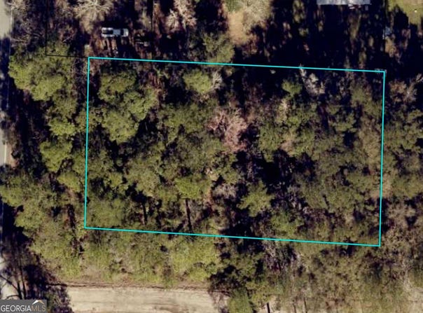 US Highway 17, Waverly, GA 31565