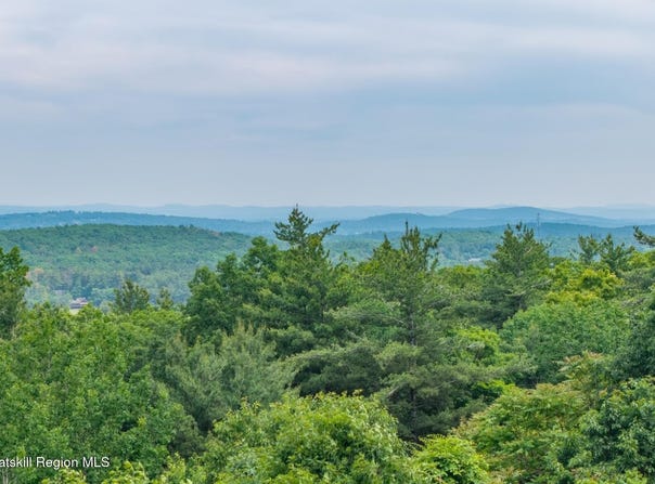 Skinner Road, Athens, NY 12015