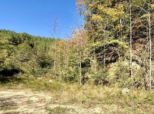 kidd fork, Banner, KY 41603
