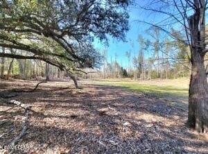 Hwy 90, Sneads, FL 32460