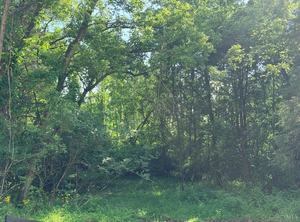 Sandhill Drive, Maineville, OH 45039